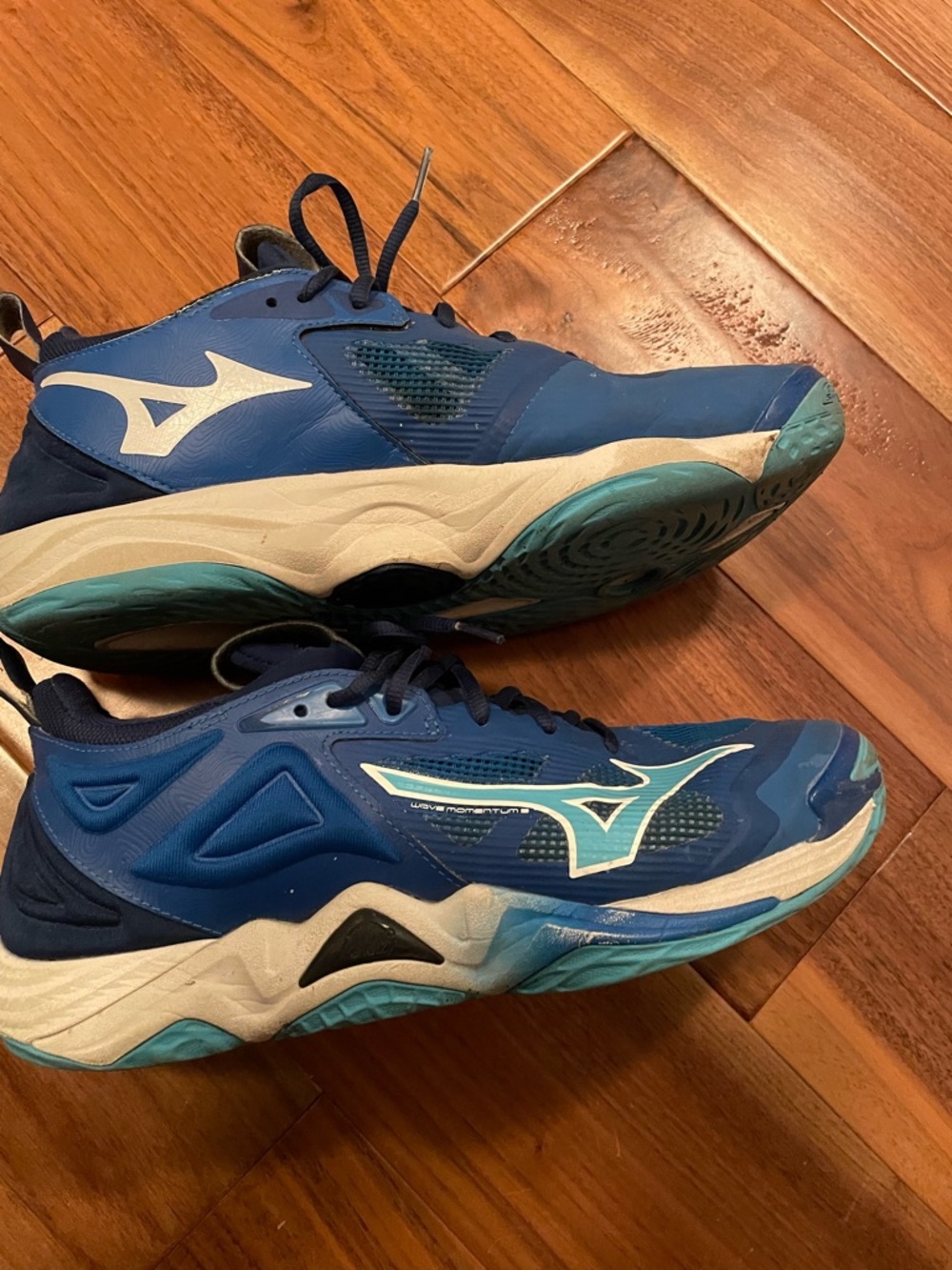 Mizuno Navy and Teal Running Shoes